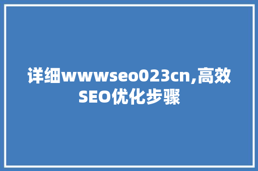 详细wwwseo023cn,高效SEO优化步骤
