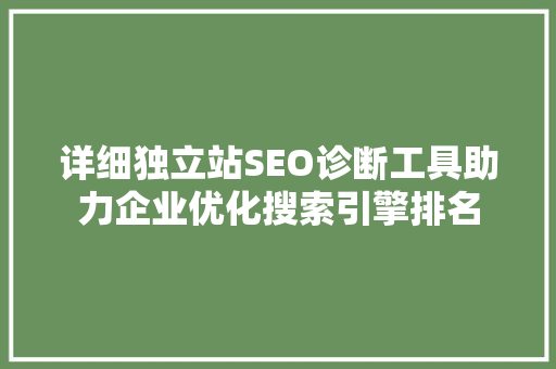 详细独立站SEO诊断工具助力企业优化搜索引擎排名