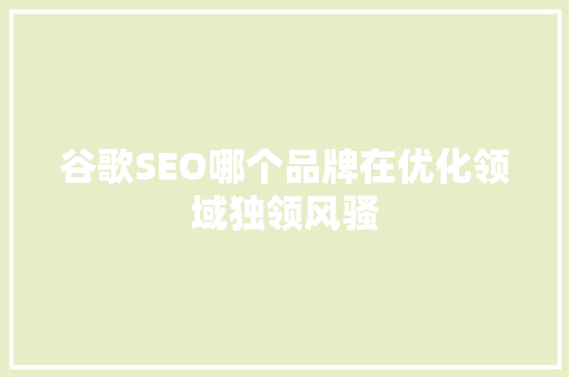 谷歌SEO哪个品牌在优化领域独领风骚