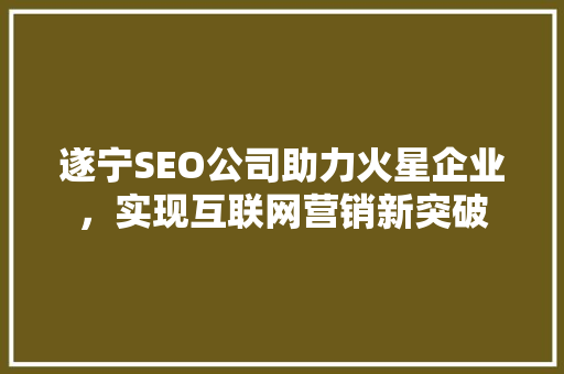 遂宁SEO公司助力火星企业，实现互联网营销新突破