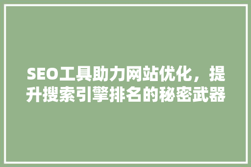 SEO工具助力网站优化，提升搜索引擎排名的秘密武器