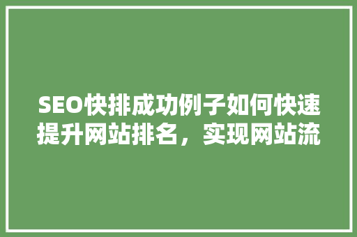SEO快排成功例子如何快速提升网站排名，实现网站流量与业绩双丰收