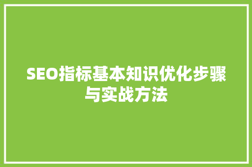 SEO指标基本知识优化步骤与实战方法