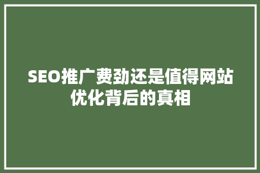 SEO推广费劲还是值得网站优化背后的真相