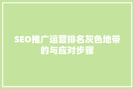 SEO推广运营排名灰色地带的与应对步骤