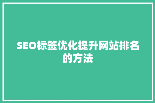 SEO标签优化提升网站排名的方法