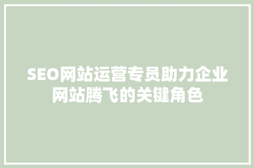 SEO网站运营专员助力企业网站腾飞的关键角色