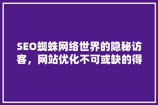 SEO蜘蛛网络世界的隐秘访客，网站优化不可或缺的得力助手