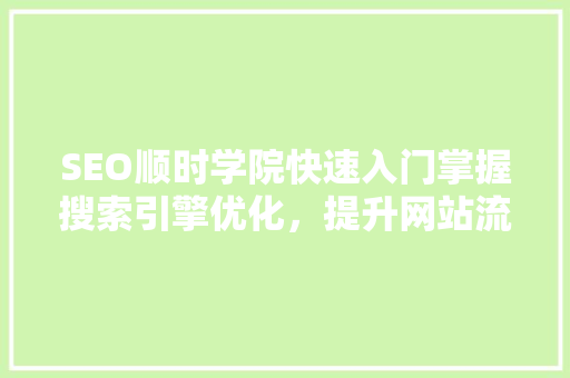 SEO顺时学院快速入门掌握搜索引擎优化,提升网站流量与排名 SEO顺时学院快速入门掌握搜索引擎优化,提升网站流量与排名