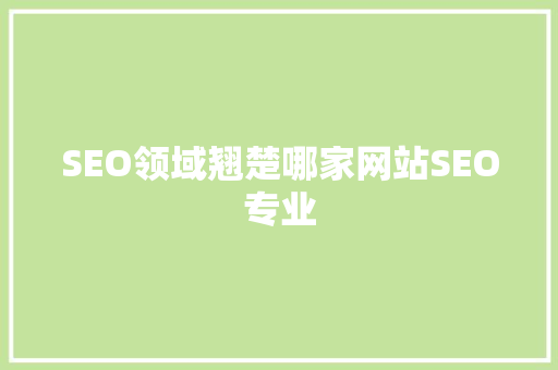 SEO领域翘楚哪家网站SEO专业 SEO领域翘楚哪家网站SEO专业