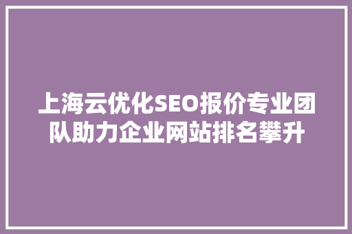 上海云优化SEO报价专业团队助力企业网站排名攀升 上海云优化SEO报价专业团队助力企业网站排名攀升