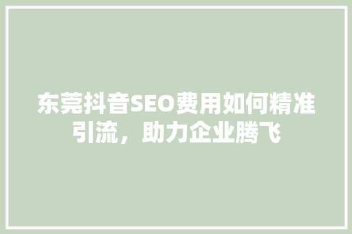 东莞抖音SEO费用如何精准引流,助力企业腾飞 东莞抖音SEO费用如何精准引流,助力企业腾飞