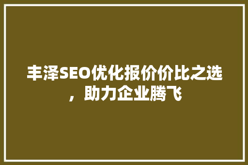 丰泽SEO优化报价价比之选，助力企业腾飞