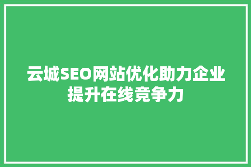云城SEO网站优化助力企业提升在线竞争力