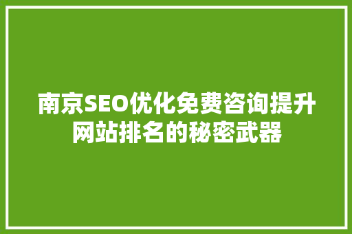 南京SEO优化免费咨询提升网站排名的秘密武器