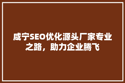 咸宁SEO优化源头厂家专业之路，助力企业腾飞