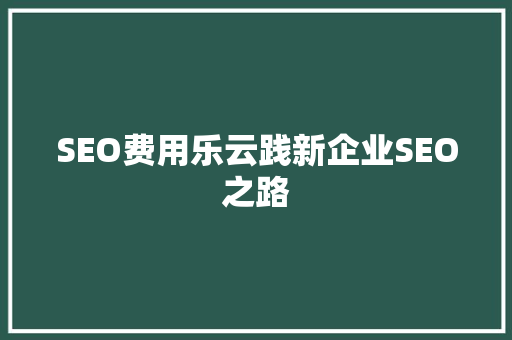 SEO费用乐云践新企业SEO之路