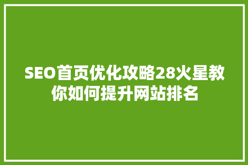 SEO首页优化攻略28火星教你如何提升网站排名