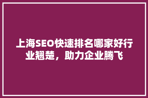 上海SEO快速排名哪家好行业翘楚，助力企业腾飞
