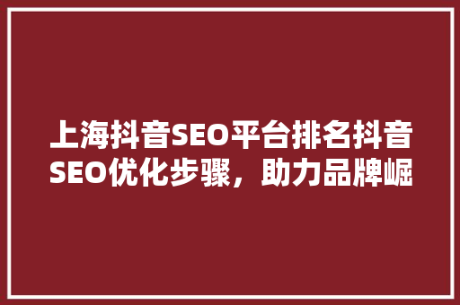 上海抖音SEO平台排名抖音SEO优化步骤，助力品牌崛起