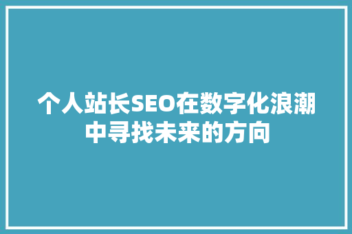 个人站长SEO在数字化浪潮中寻找未来的方向 个人站长SEO在数字化浪潮中寻找未来的方向