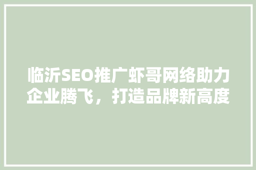 临沂SEO推广虾哥网络助力企业腾飞，打造品牌新高度 电脑基础
