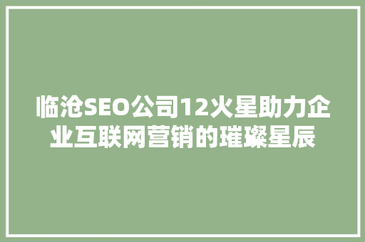 临沧SEO公司12火星助力企业互联网营销的璀璨星辰