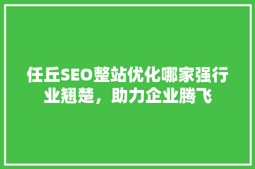 任丘SEO整站优化哪家强行业翘楚，助力企业腾飞