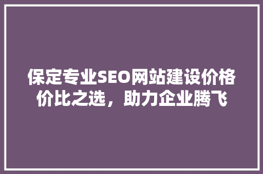 保定专业SEO网站建设价格价比之选，助力企业腾飞 操作系统