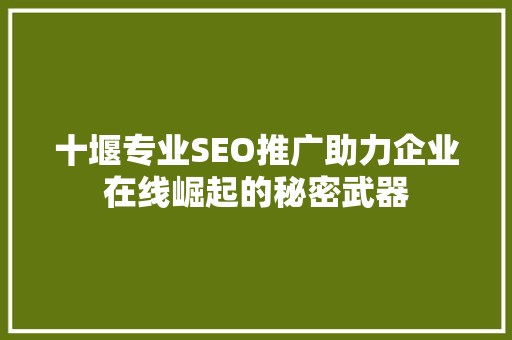 十堰专业SEO推广助力企业在线崛起的秘密武器 十堰专业SEO推广助力企业在线崛起的秘密武器