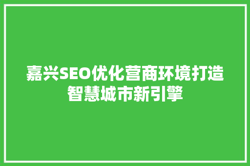 嘉兴SEO优化营商环境打造智慧城市新引擎