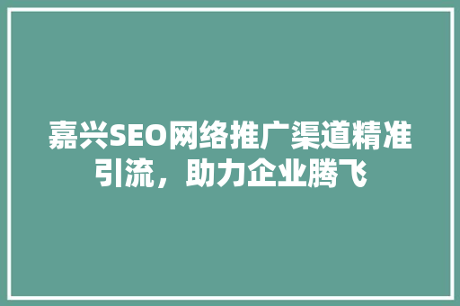 嘉兴SEO网络推广渠道精准引流，助力企业腾飞