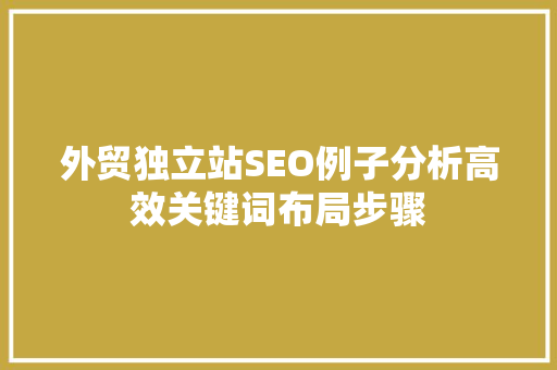 外贸独立站SEO例子分析高效关键词布局步骤