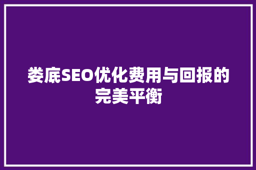 娄底SEO优化费用与回报的完美平衡
