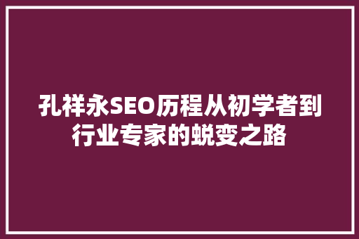 孔祥永SEO历程从初学者到行业专家的蜕变之路 孔祥永SEO历程从初学者到行业专家的蜕变之路