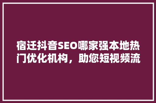 宿迁抖音SEO哪家强本地热门优化机构，助您短视频流量翻倍