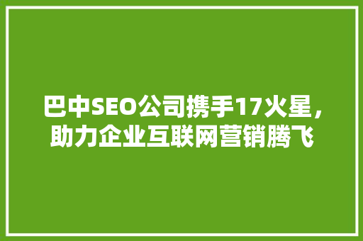 巴中SEO公司携手17火星，助力企业互联网营销腾飞