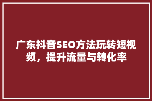 广东抖音SEO方法玩转短视频，提升流量与转化率