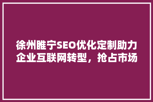 徐州睢宁SEO优化定制助力企业互联网转型，抢占市场先机