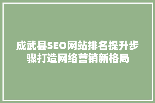 成武县SEO网站排名提升步骤打造网络营销新格局