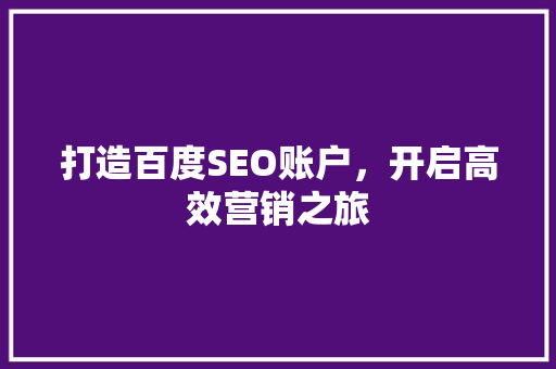 打造百度SEO账户，开启高效营销之旅