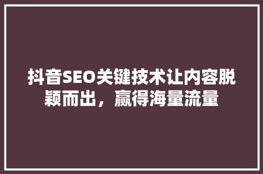 抖音SEO关键技术让内容脱颖而出，赢得海量流量