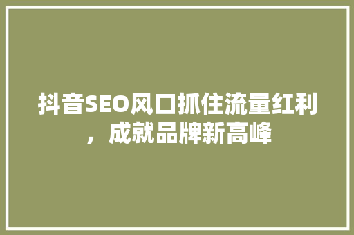 抖音SEO风口抓住流量红利，成就品牌新高峰