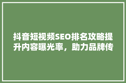 抖音短视频SEO排名攻略提升内容曝光率，助力品牌传播