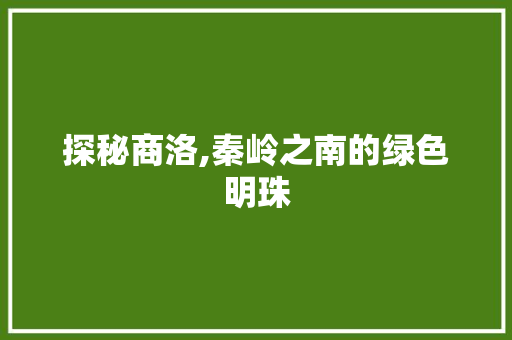 探秘商洛,秦岭之南的绿色明珠 探秘商洛,秦岭之南的绿色明珠