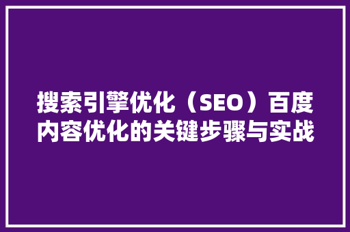 搜索引擎优化（SEO）百度内容优化的关键步骤与实战方法 编程语言