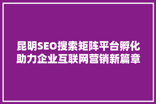 昆明SEO搜索矩阵平台孵化助力企业互联网营销新篇章