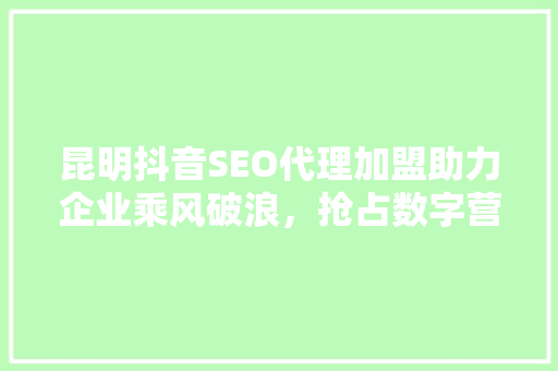 昆明抖音SEO代理加盟助力企业乘风破浪，抢占数字营销新高地