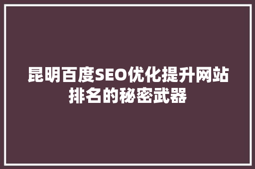 昆明百度SEO优化提升网站排名的秘密武器