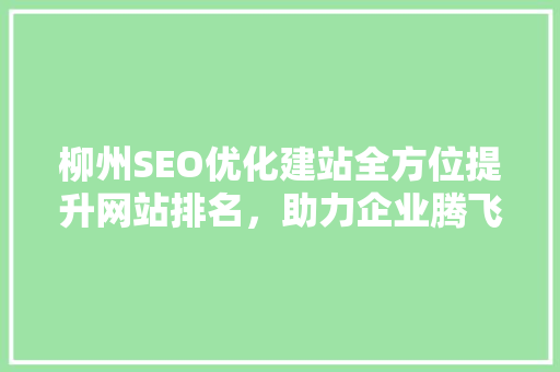柳州SEO优化建站全方位提升网站排名，助力企业腾飞